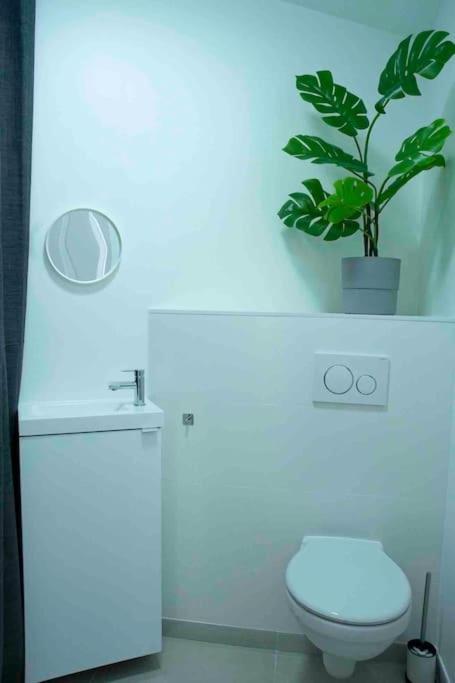Appartement 5Min Aeroport Cdg Le Mesnil-Amelot Ngoại thất bức ảnh